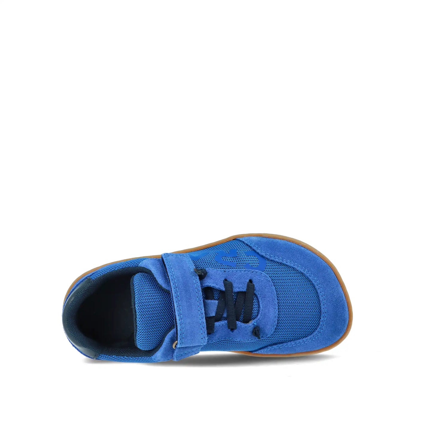 CRAVE CUPERTINO JUNIOR Blue