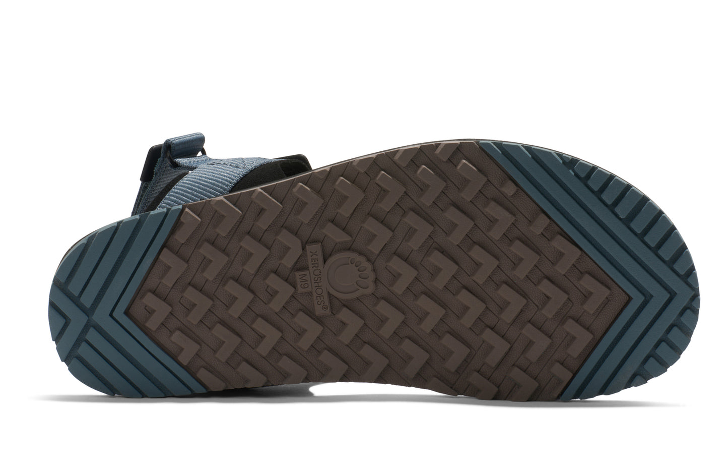 XERO SHOES D-Trail Sandals MEN