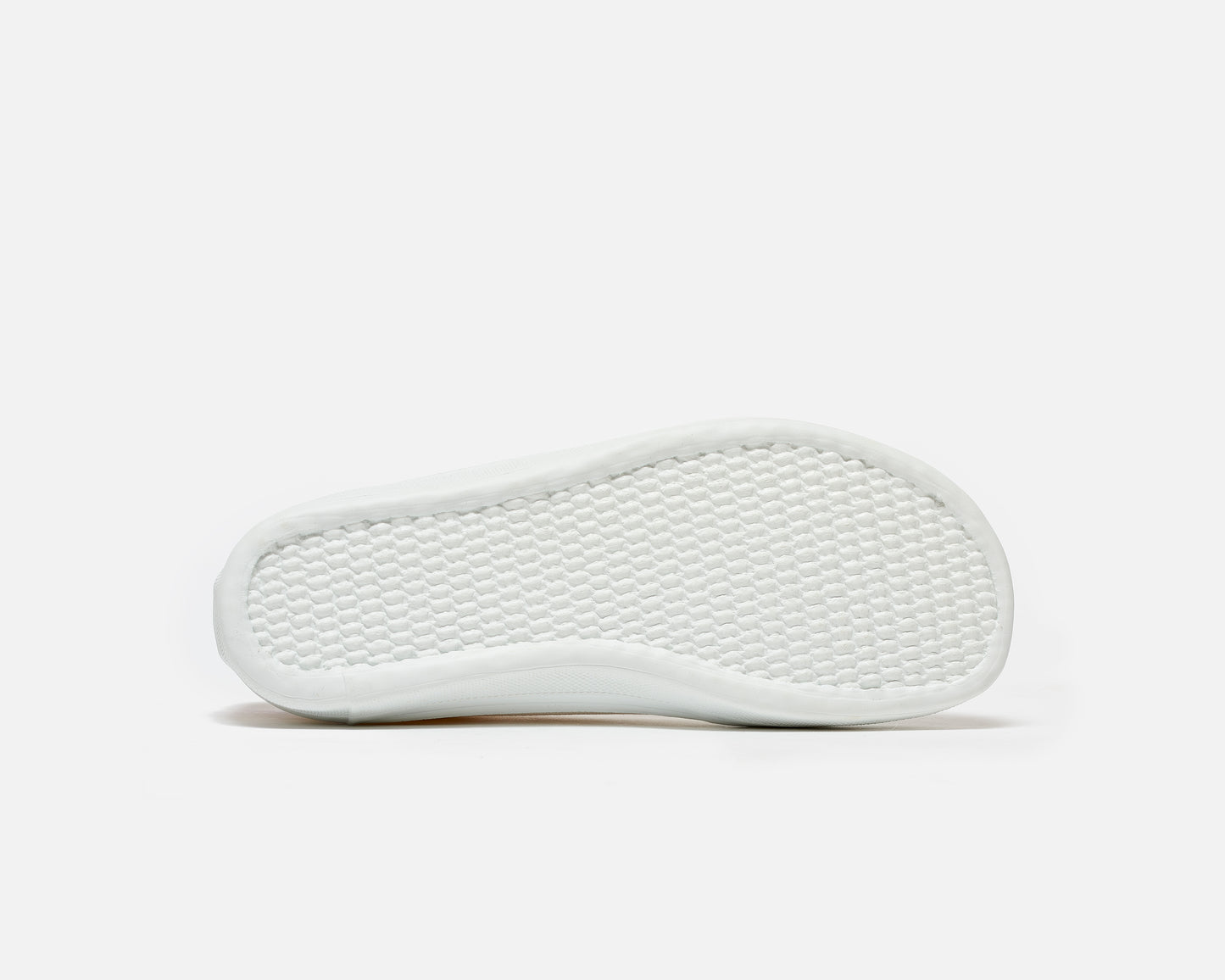 FELIX Shell Purple