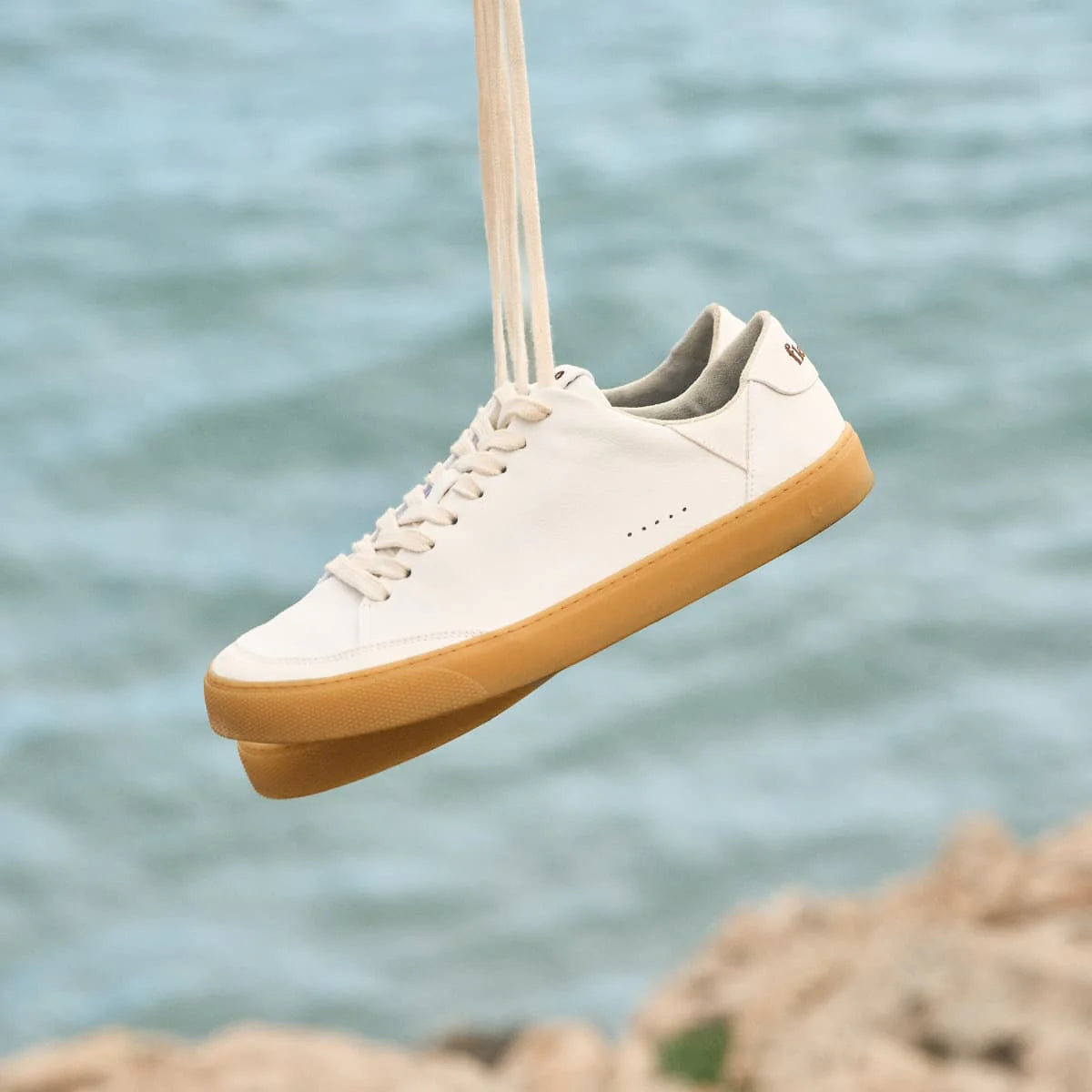 FLEETERS Lemon White Gum