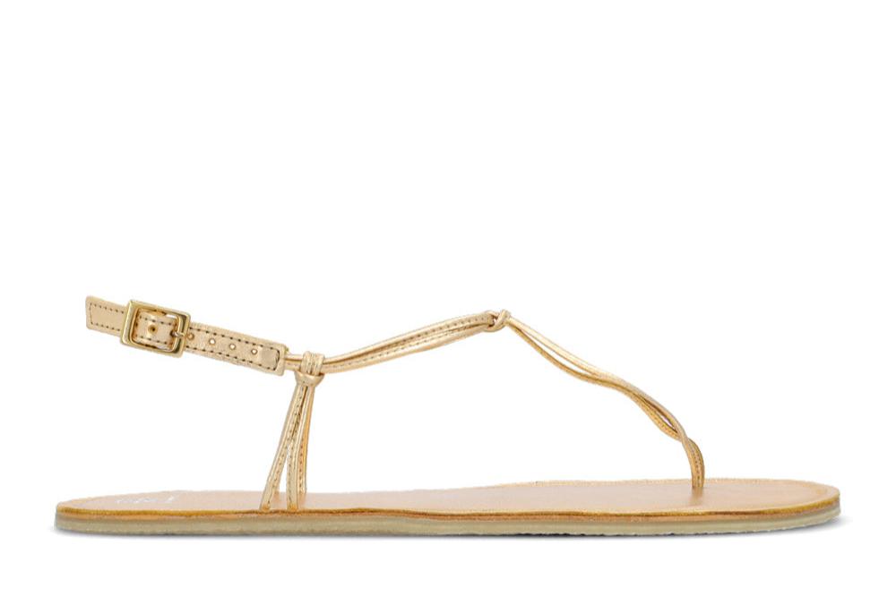 GROUNDIES AMALFI Champagne Gold